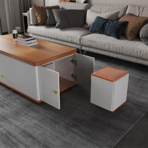 Combinación de mesa de centro de sala de estar moderna simple