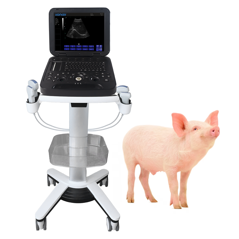 Sistema diagnostico a ultrasuoni per laptop veterinario in bianco e nero YK-V15 （PMS-V15）
