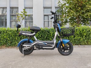 bicicletta elettrica à pedale scooter à dui roti