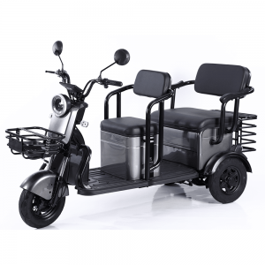 Scooter eléctrico de pasajeros para adultos con dos asientos