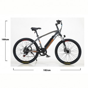 ლითიუმის ბატარეის ველოსიპედი TDE01Z