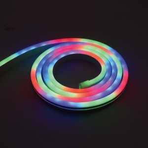 LR2321 Diofar mhodhan 270 ° RGB Neon Strip Light
