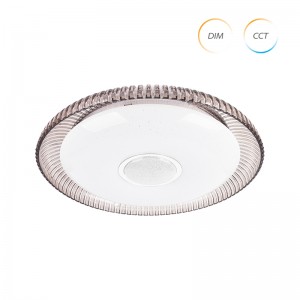 CE2266 Timing Function Modernong Ceiling Lamp