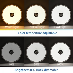 RGB Color Changing LED Ceiling Light with Bluetooth Speaker