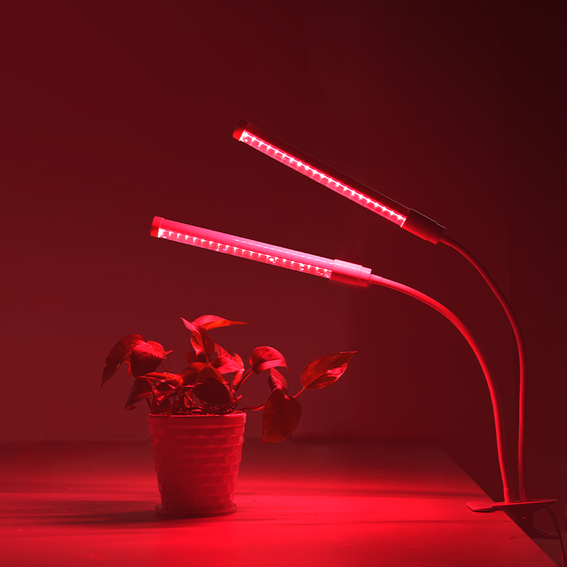 Easy-to-use Cilp LED Indoor Grow Light Featured Image