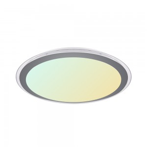 Super Lowest Price Smart Ceiling Light - Intelligent Ceiling Lamps with music mode – Yourlite