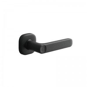 Cerradura de puerta inteligente con huella dactilar Smart-SK001