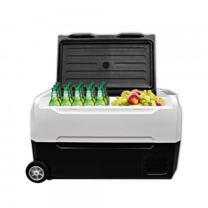 Портативний автомобільний холодильник EA з індивідуальним контролем температури