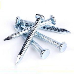 Galvanized steel concrete nails with factory price