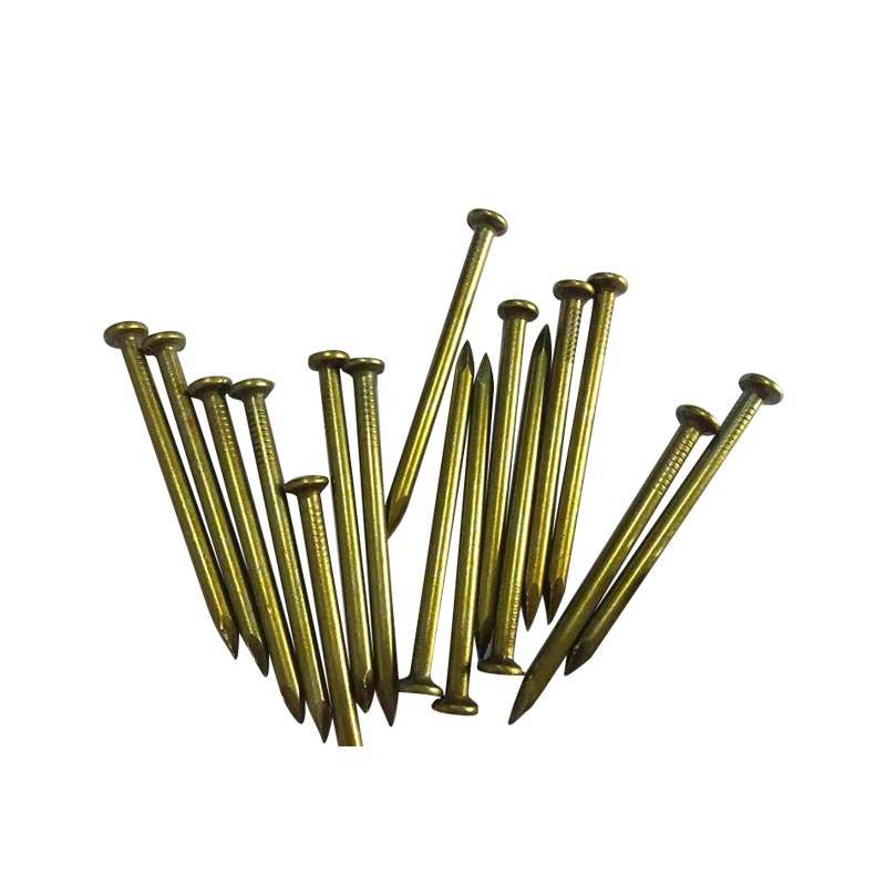 Chinese fastener factory yellow brass plated round head bright shank  steel nail Featured Image