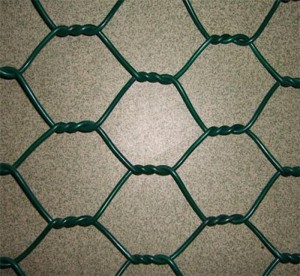 Hot dipped galvanized hexagonal chicken wire mesh