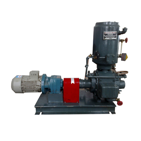 30-WS Vacuum pump of sealing oil system