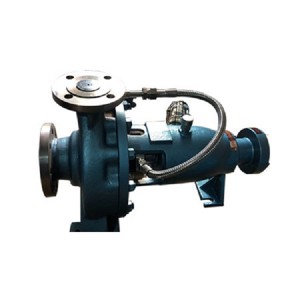 YCZ65-250C generator stator cooling water pump