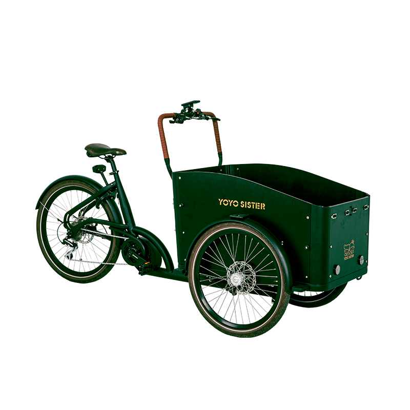 Adult Electric Cargo Tricycle/Three Wheel Bicycle for Adult Three Wheel Electric Bicycle Featured Image
