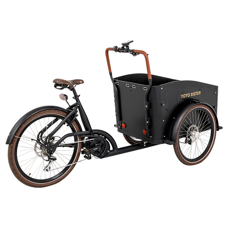 Adult Electric Cargo Tricycle/Three Wheel Bicycle for Adult Three Wheel Electric Bicycle
