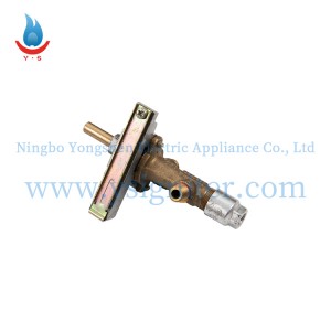 Professional China Heater Spark Plug - Fuel Gas Valve BQ902C01 – Yongshen