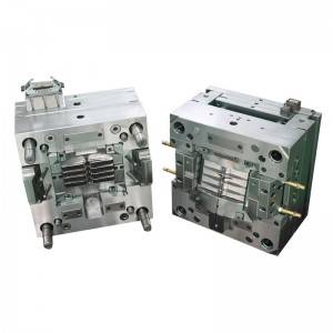 Chinese Professional Double Shot Molding - Domestic injection moulding company – Yuanfang