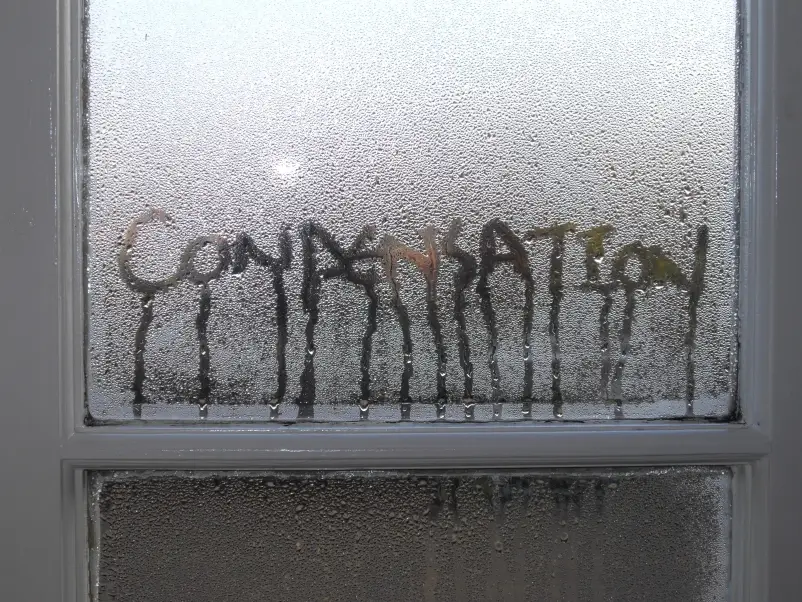 អ្វីដែលអ្នកមិនដឹងអំពី condensation នៅលើទូរទឹកកកទ្វារកញ្ចក់របស់អ្នក។