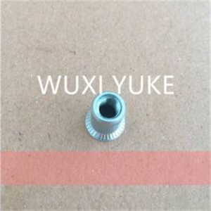 Wholesale Price Flat Head Steel Rivet Nuts - Zinc plated Countersunk Head Rivet Nut – Yuke