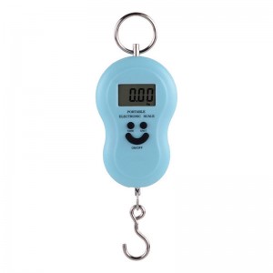 Portable 50KG Multifunctional LCD display Electronic Digital Weighing fishing Hanging Scale hot sale