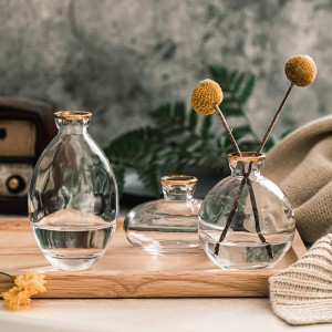 Тераријуми са прозирним стакленим вазама за кућни декор