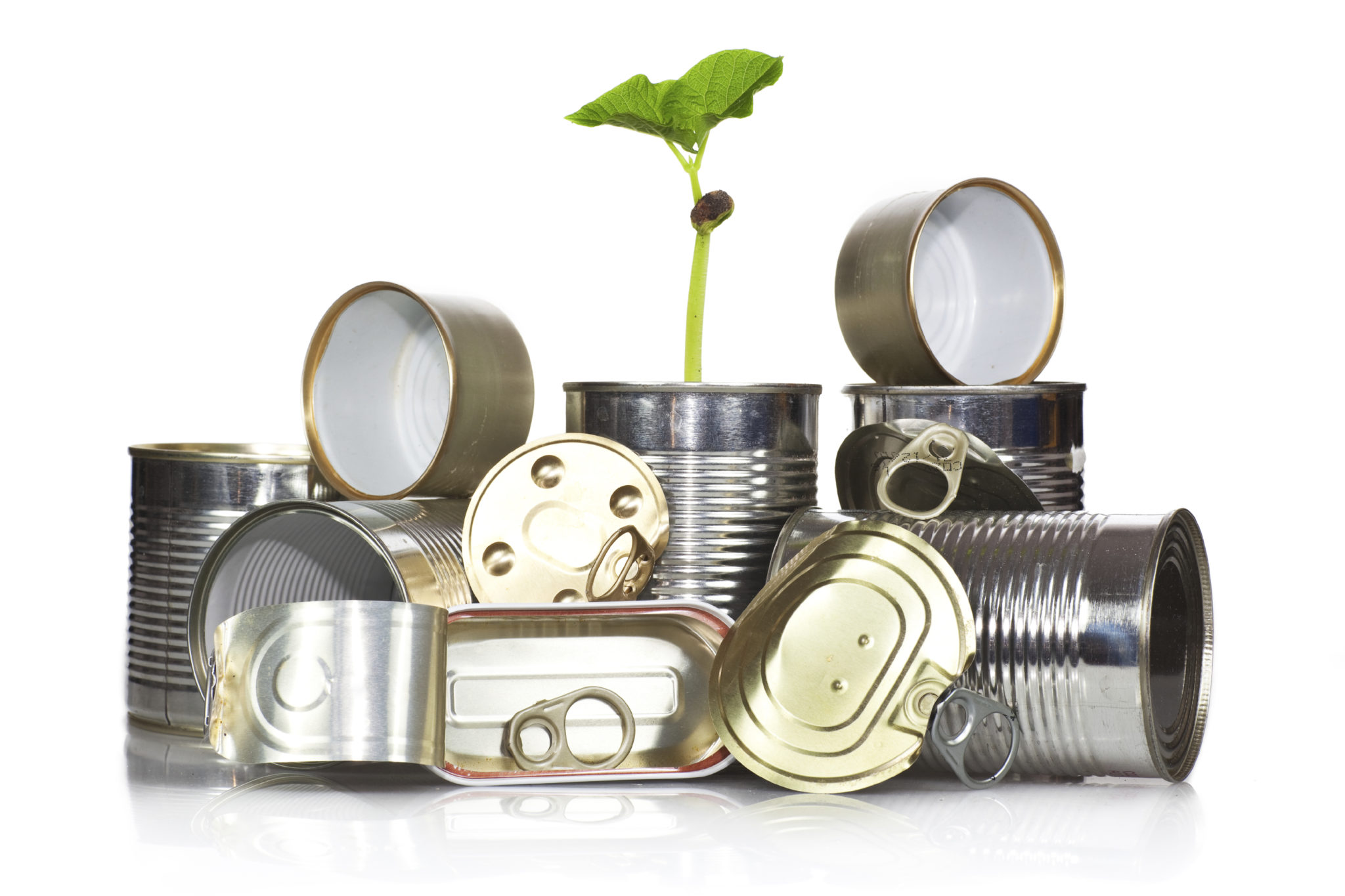 Opportunities and Sustainability in the Aluminum Industry