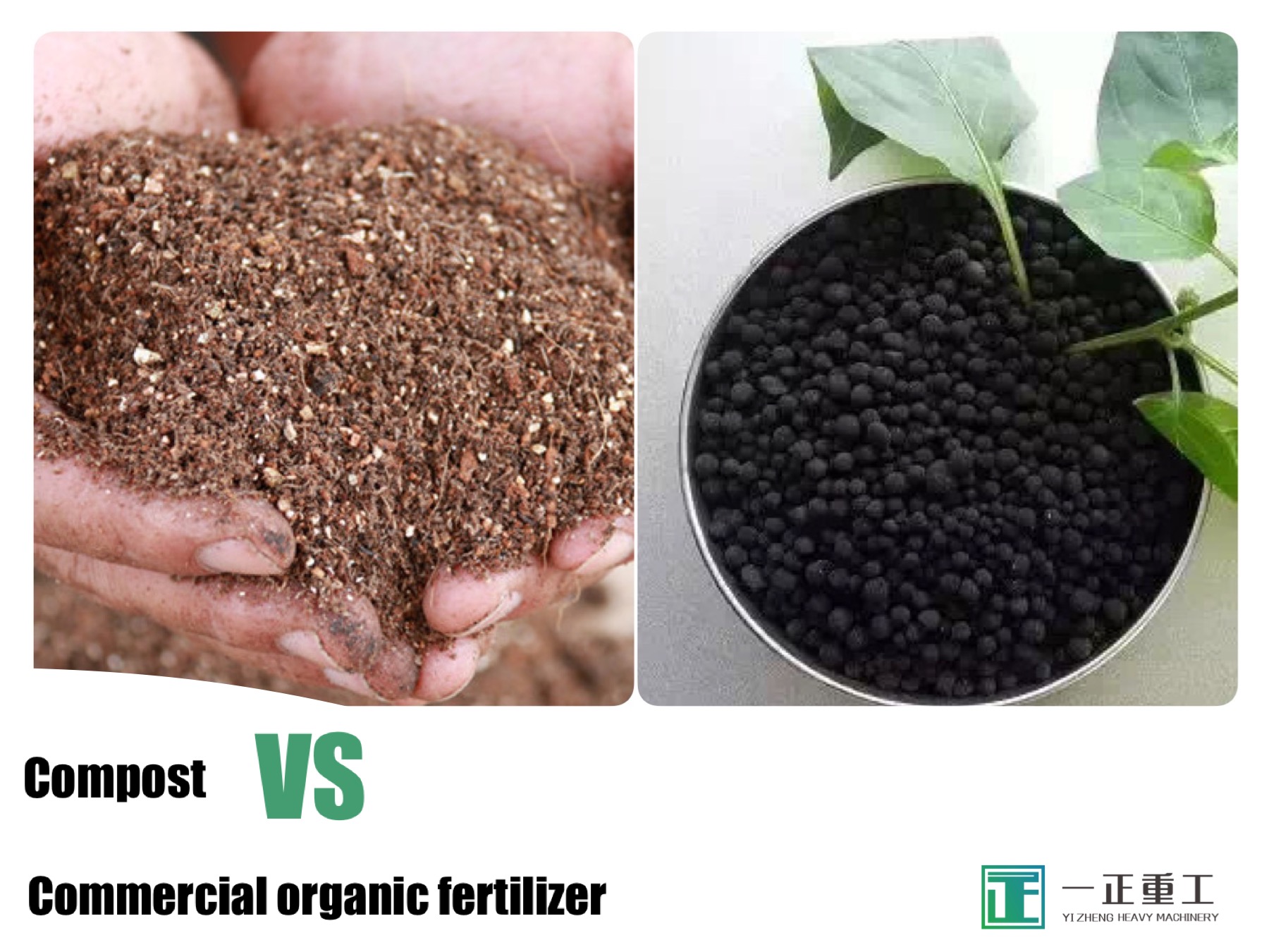 A diffarenza trà fertilizante bio-organicu è fertilizante organico