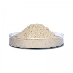 China High Quality Enzyme Foda Raw Material Neutral Protease 9068-59-1