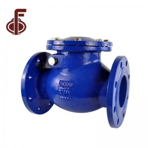 Ductile Iron SS304 SS316 Nyocha Valve anaghị alaghachi azụ