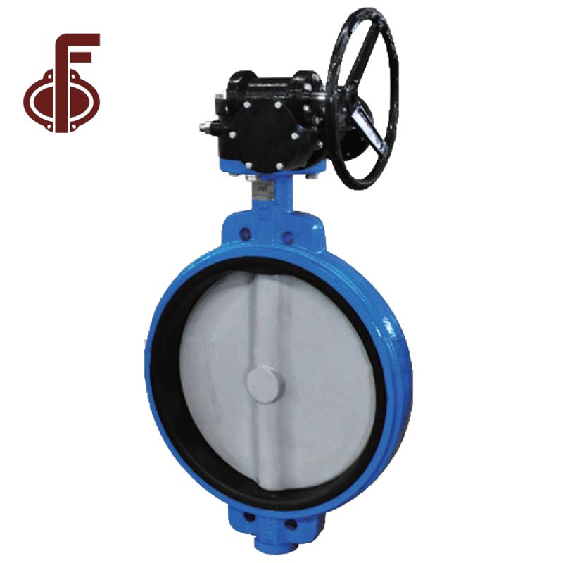 Worm Gear Wafer Butterfly Valve with Nylon Covered Disc