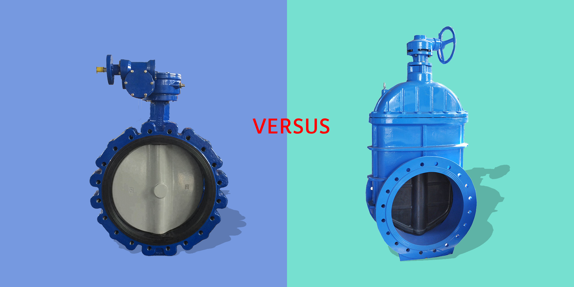 What Is The Differentia Inter Portam Valve And Butterfly Valve?