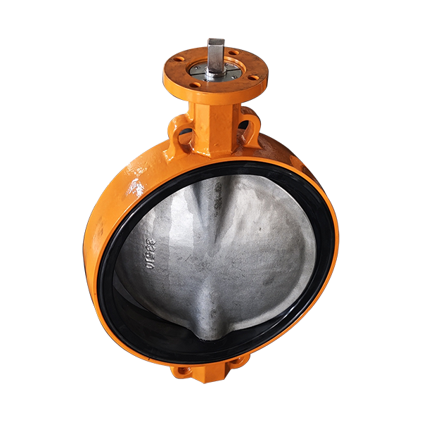 CF8M Disc Two Shaft Wafer Type Butterfly Valve
