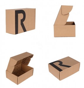 Nou disseny personalitza les caixes d'embalatge de luxe per a la caixa de correu d'envasos de cartró de regal
