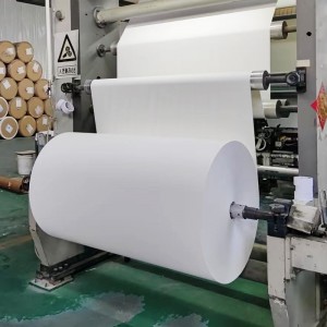 Carton alb OEM de calitate superioară pentru produse alimentare Hârtie de bază Acoperire PE/PLA