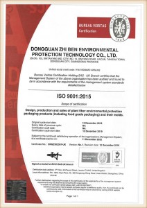 zhiben dongguan fabriek ISO 9001