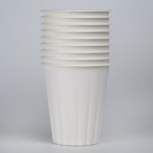12oz Biodegradable Bagasse pulp hlobo Coffee Cup