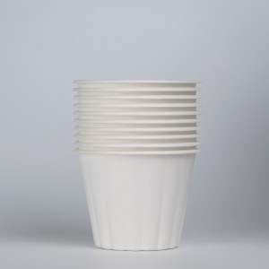 8 iwon ireke 100% Home Compostable Cup