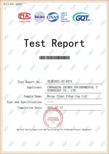Zhiben Lid Test Report