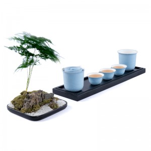 Biodégradables WuXi Kongfu jetab Tea Set