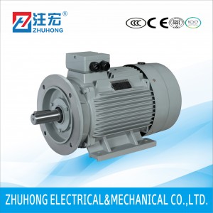 IE1 Standard – Y2 Series Three Phase Motor e nang le Cast Iron Body