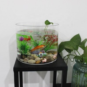 Transparent Circular Acrylic Fish Acquarium