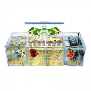 Aquarium Acrylic isolation small fish tank