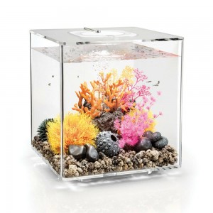 Aquarium Acrylic Isolation Small Fish Tank