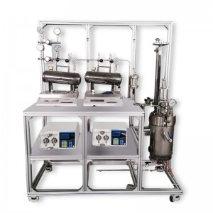 Experimental polyether reaction system