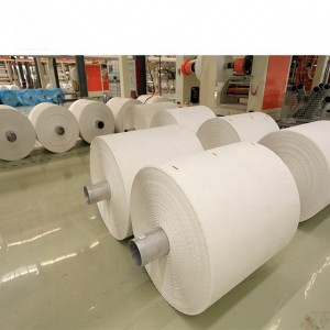 Vanntett og motstandsdyktig mot rivesteinpapir Syntetisk papir