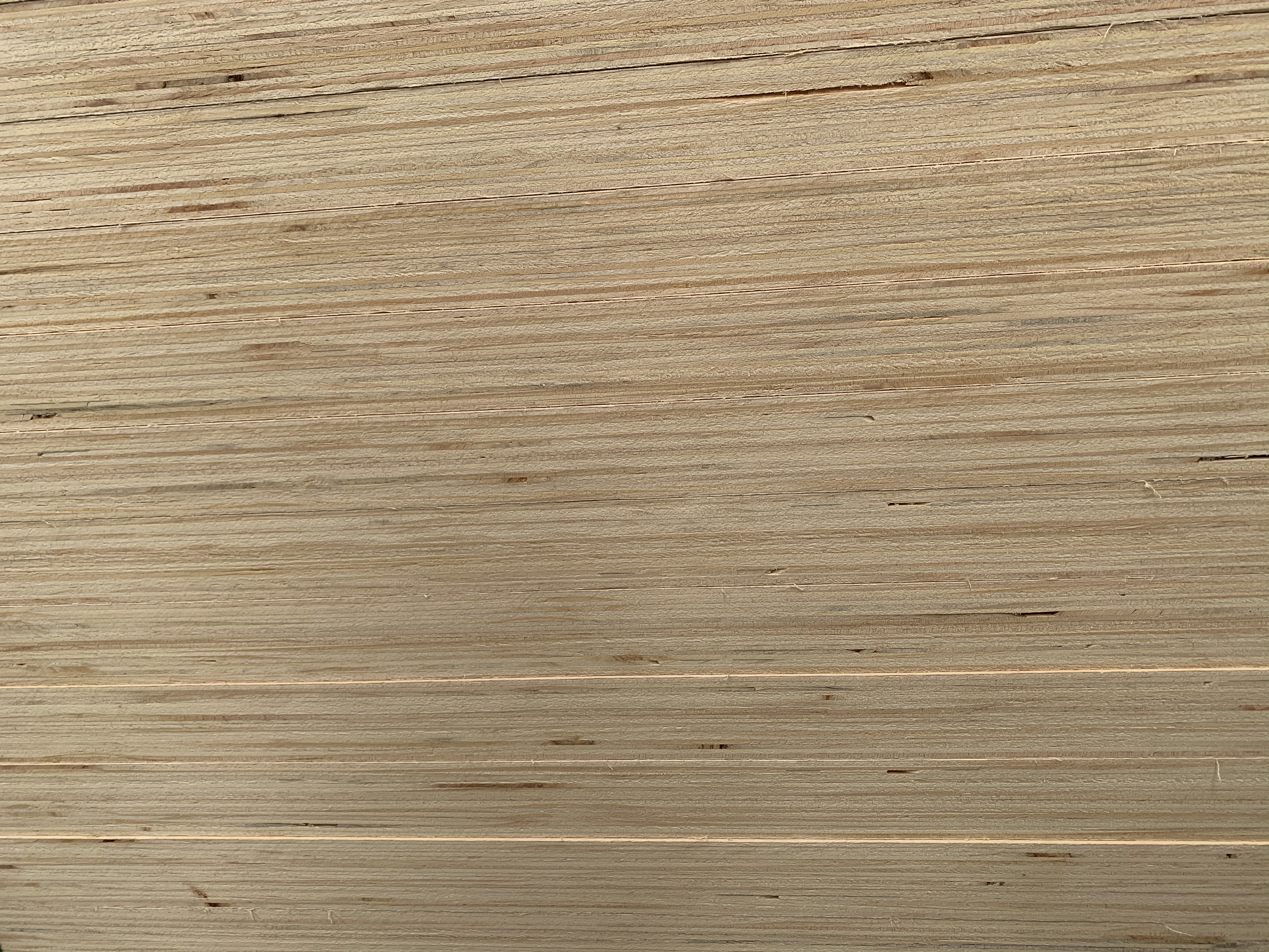 India Plywood Market Size To Hit INR 306.5 Billion By FY 2028-29 | Industry CAGR 6.74%
