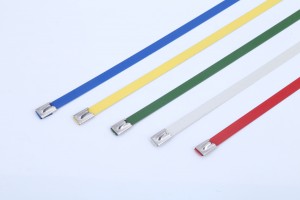 Չժանգոտվող պողպատից Cable Ties-Self Lock Epoxy Coated Tie