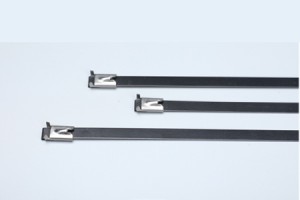 Stainless Steel Cable Ties-Self Lock Buckle with Eear Epoxy Coated Tie