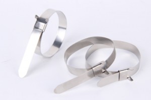 Stainless Steel Uncoated Cable Tie with Wing Lock