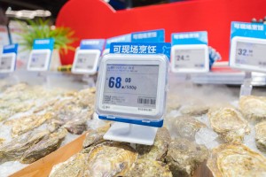 Zkong Vânzare la preț în magazin Etichetă pentru raft 4.2 Etichetă electronică pentru raft pentru supermarket Etichete de preț NFC